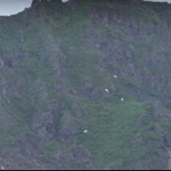 Screen Shot 2016-07-14 at 11.09.48 PM.jpg